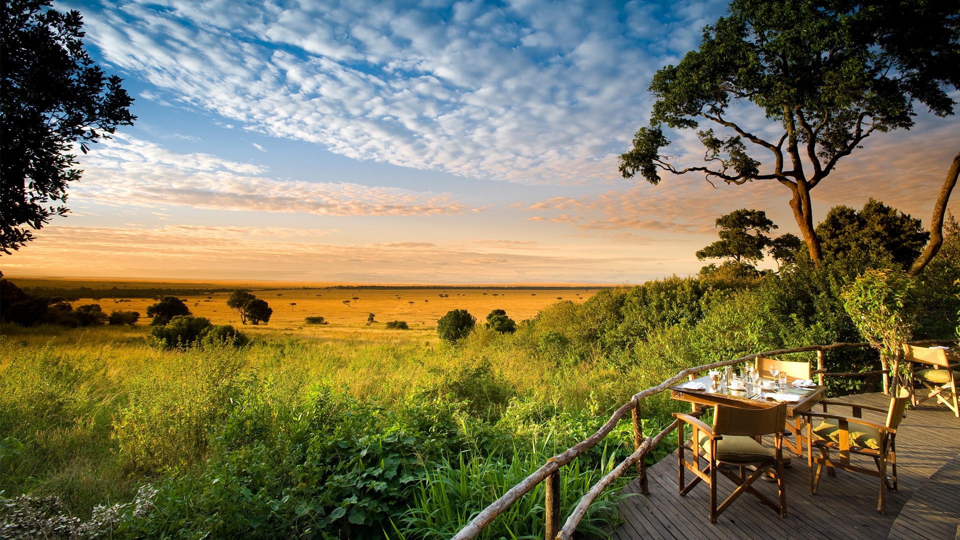Kenya Safari
