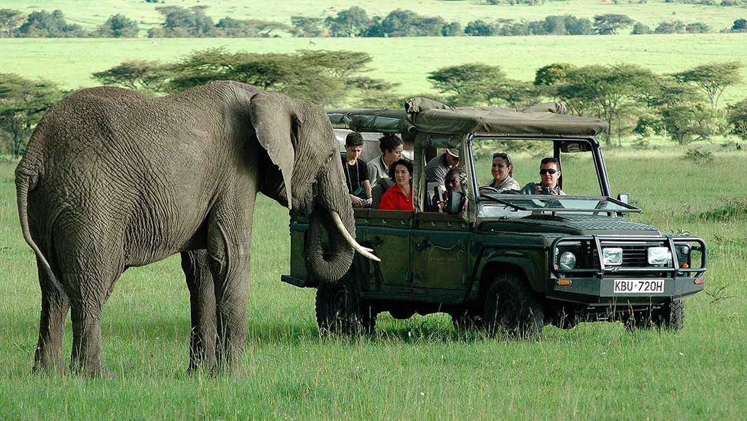 Kenya Safaris